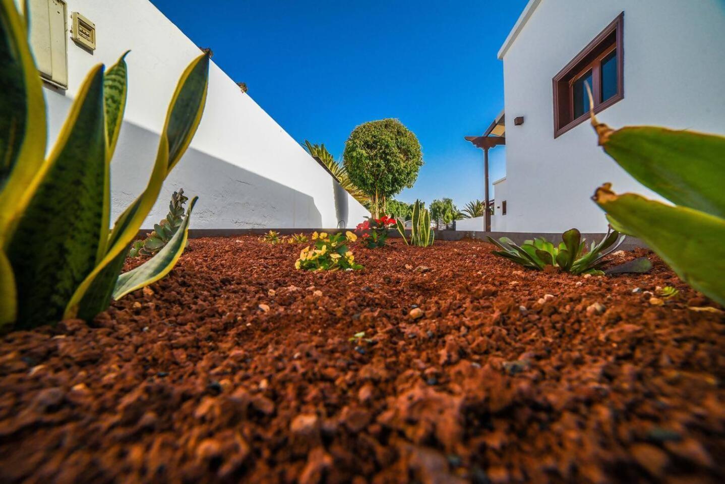 הוילה פלאיה בלנקה Agradable Y Familiar Con Piscina Casa Inima מראה חיצוני תמונה